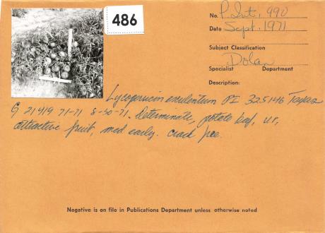 Click for 1 image(s) for this accession. Field